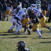 IMG-3113