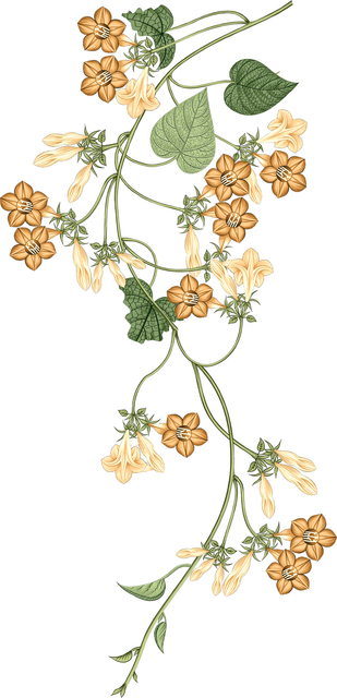 701edf23e2c3f45956d1e642763acbde.png