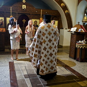 Pic 260