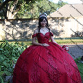IMG 1766
