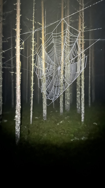 IMG 5555.jpg