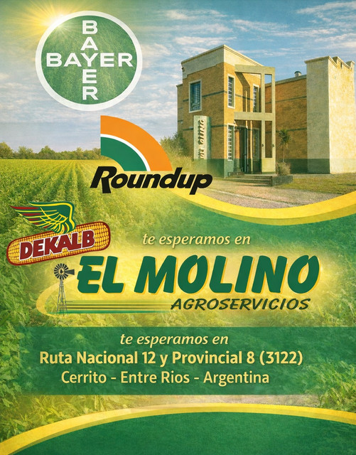 EL MOLINO.jpg