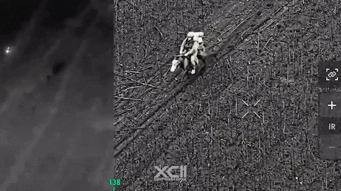 https://i.ibb.co/DftJW2Jx/IMG-5154-1.gif