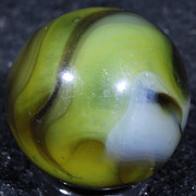 IMG-4015-Sharpen-AI-Focus