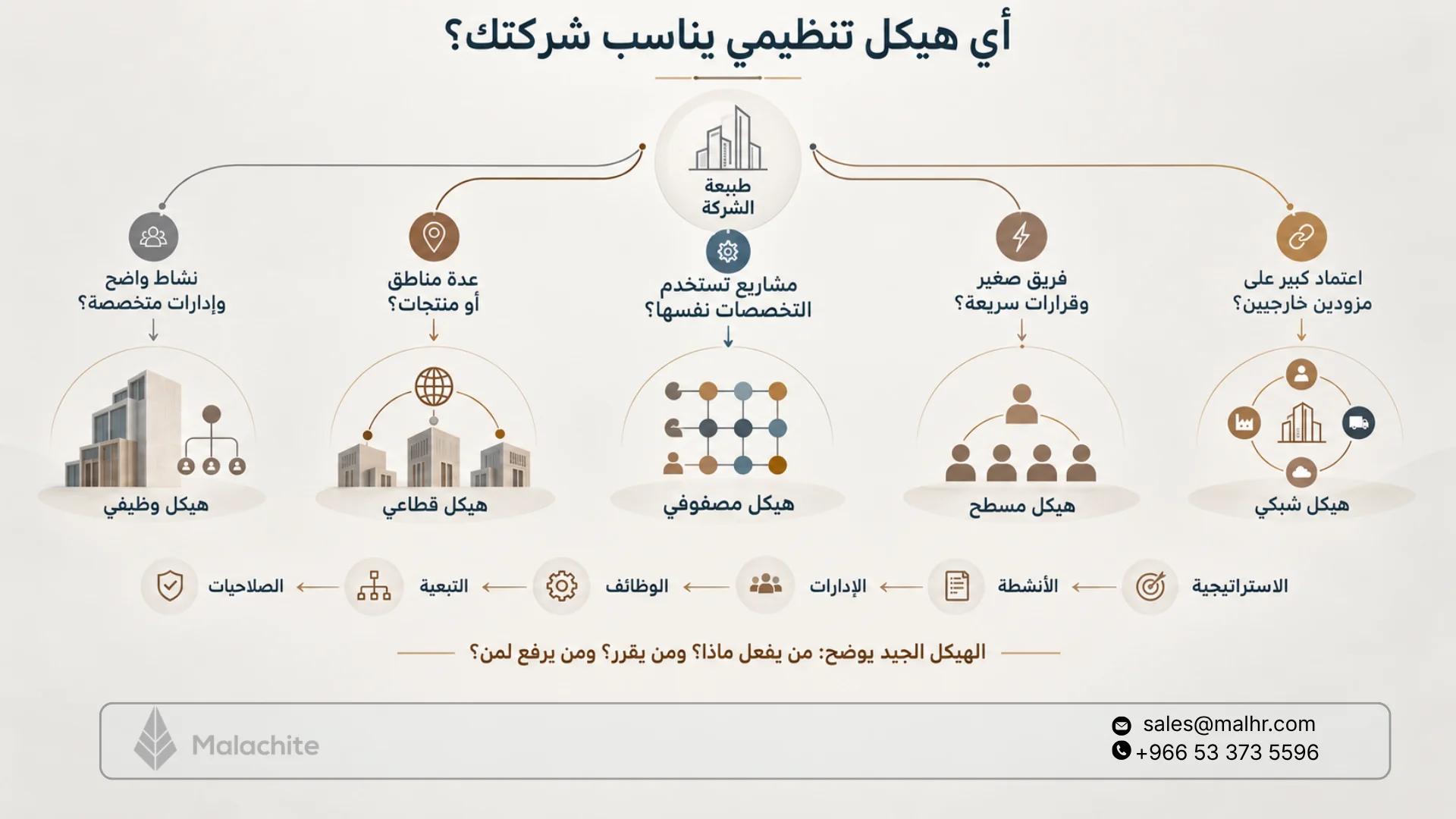 الهيكل التنظيمي: أنواعه وخطوات إعداده مع أمثلة