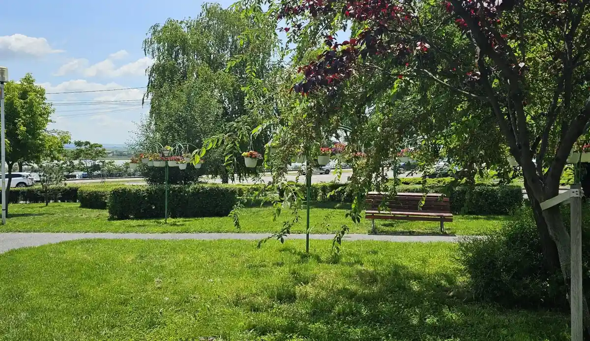 Fapte surprinzătoare din spațiile publice care pot aduce amenzi de sute de lei