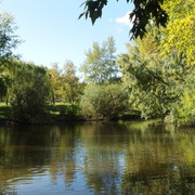 Воронежские озера