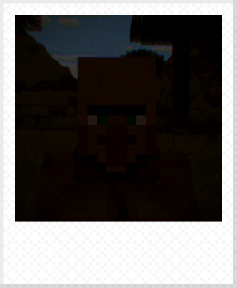 Villager with exposure -4