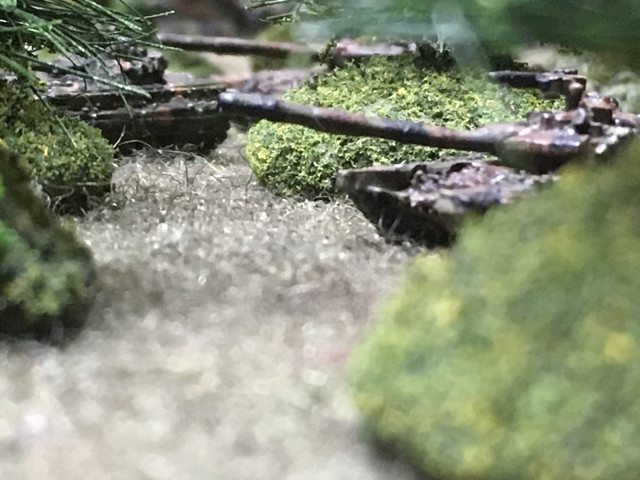 IMG 8676.jpg