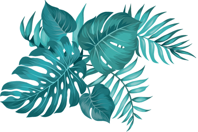 c4d81f4c769a59f566cc5a1a058b95ef.png