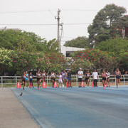 IMG-0064
