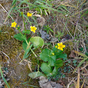 DSC05107