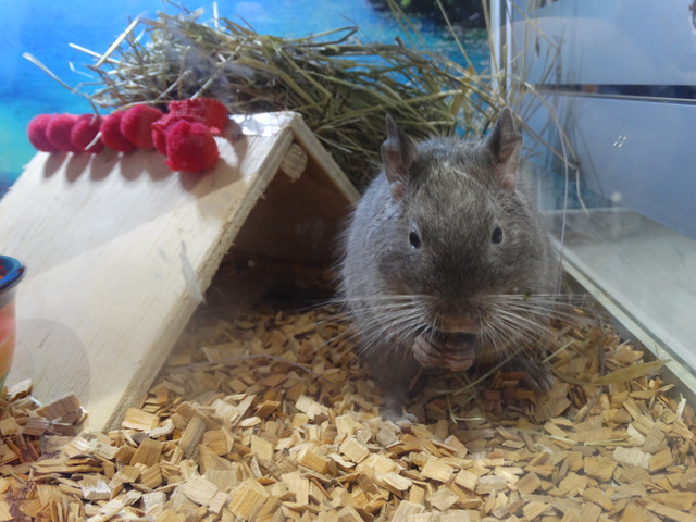 DSC03497