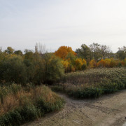 DSC08163