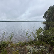 IMG 4655