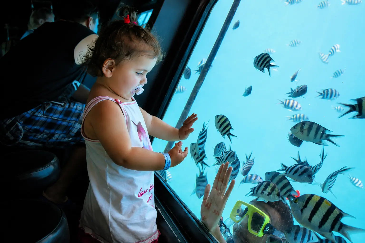 2-Hour Semi-Submarine Hurghada