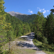 IMG 0381