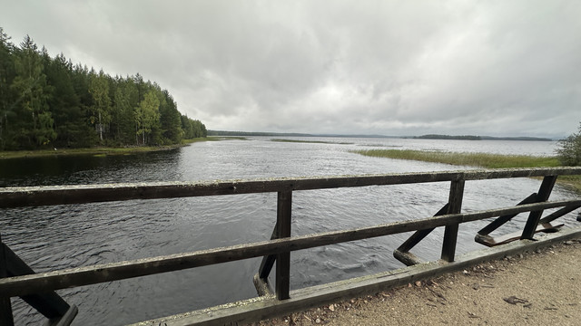 IMG 4904.jpg
