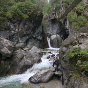 IMG 0295