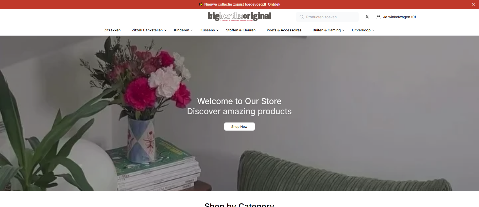 Primary capture · bigberthaofficial.shop