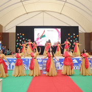 IMG 8003