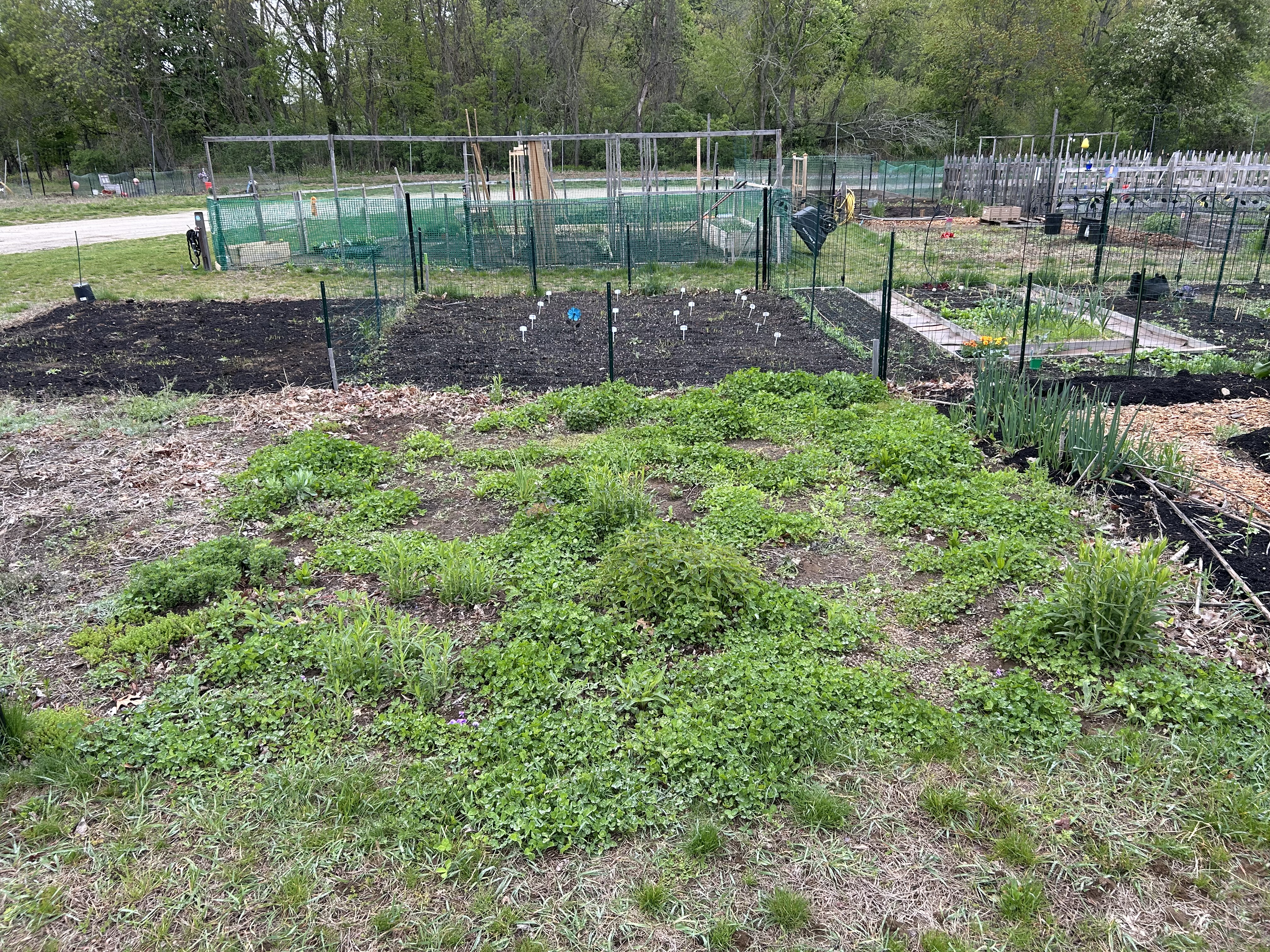 Early spring garden