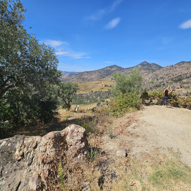 20230830-145338.jpg