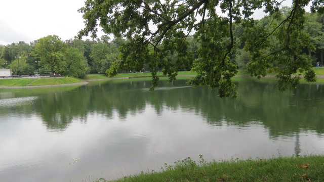 IMG-0354