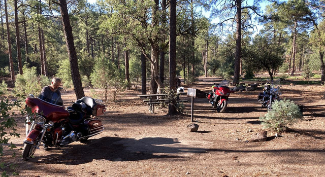 mule creek.jpg