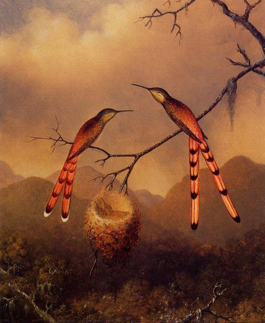 Two-Hummingbirds-with-Their-Young.jpg