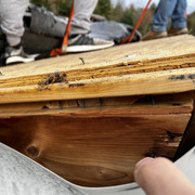 IMG-1694
