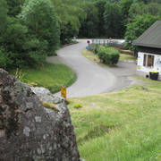 IMG 3659