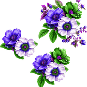 24cd8b9a60b67910055fd4359b35