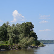 DSC 0707