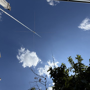 IMG 7423