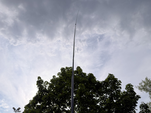 IMG 7233.jpg