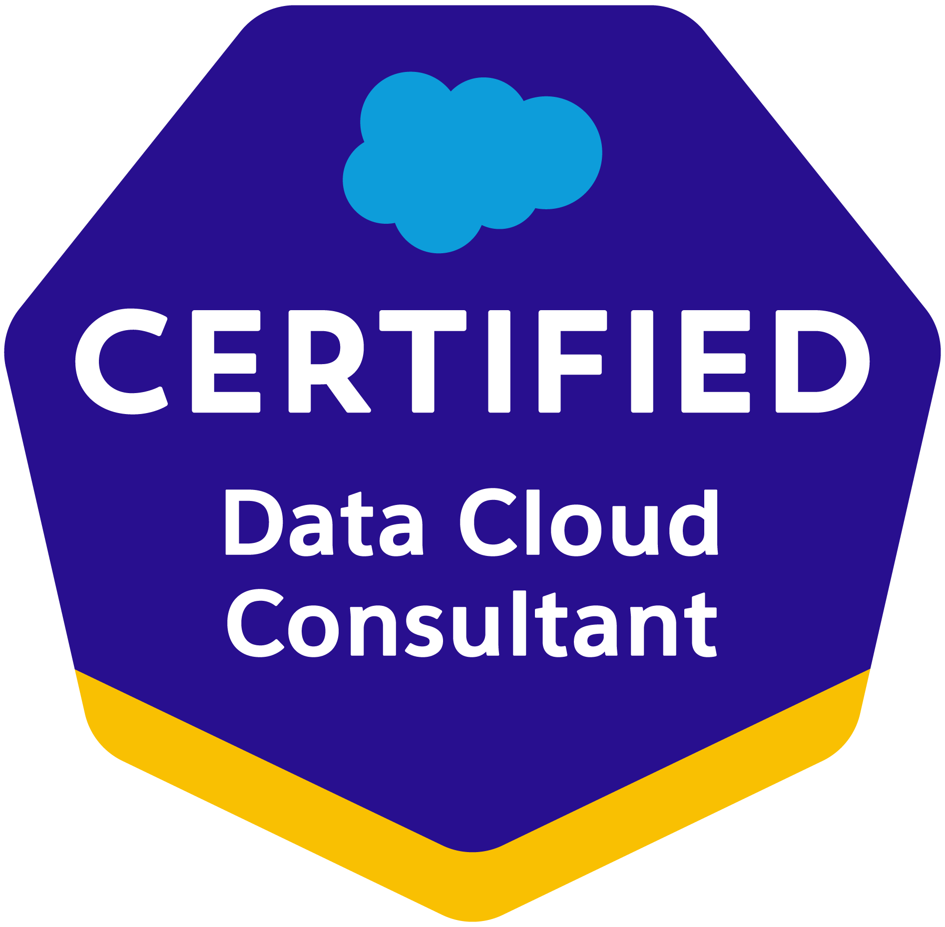 Data Cloud Consultant