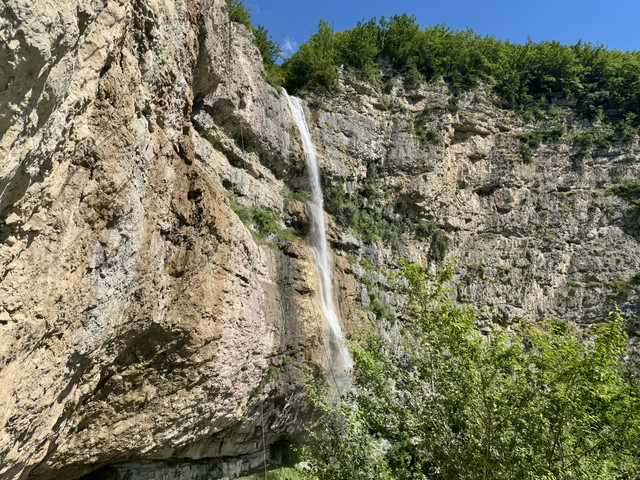 IMG 3223.jpg