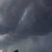 image.gif