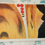 IMG-4537
