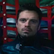 Bucky