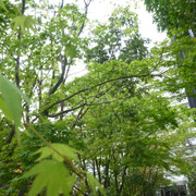 P1230880