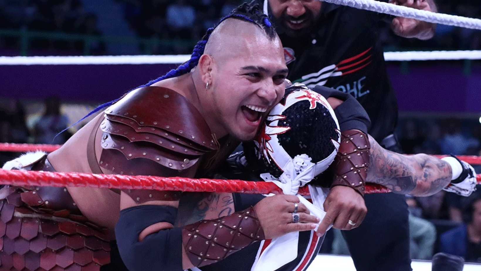 Datos sobre el hijo del vikingo Datos sobre el hijo del vikingo