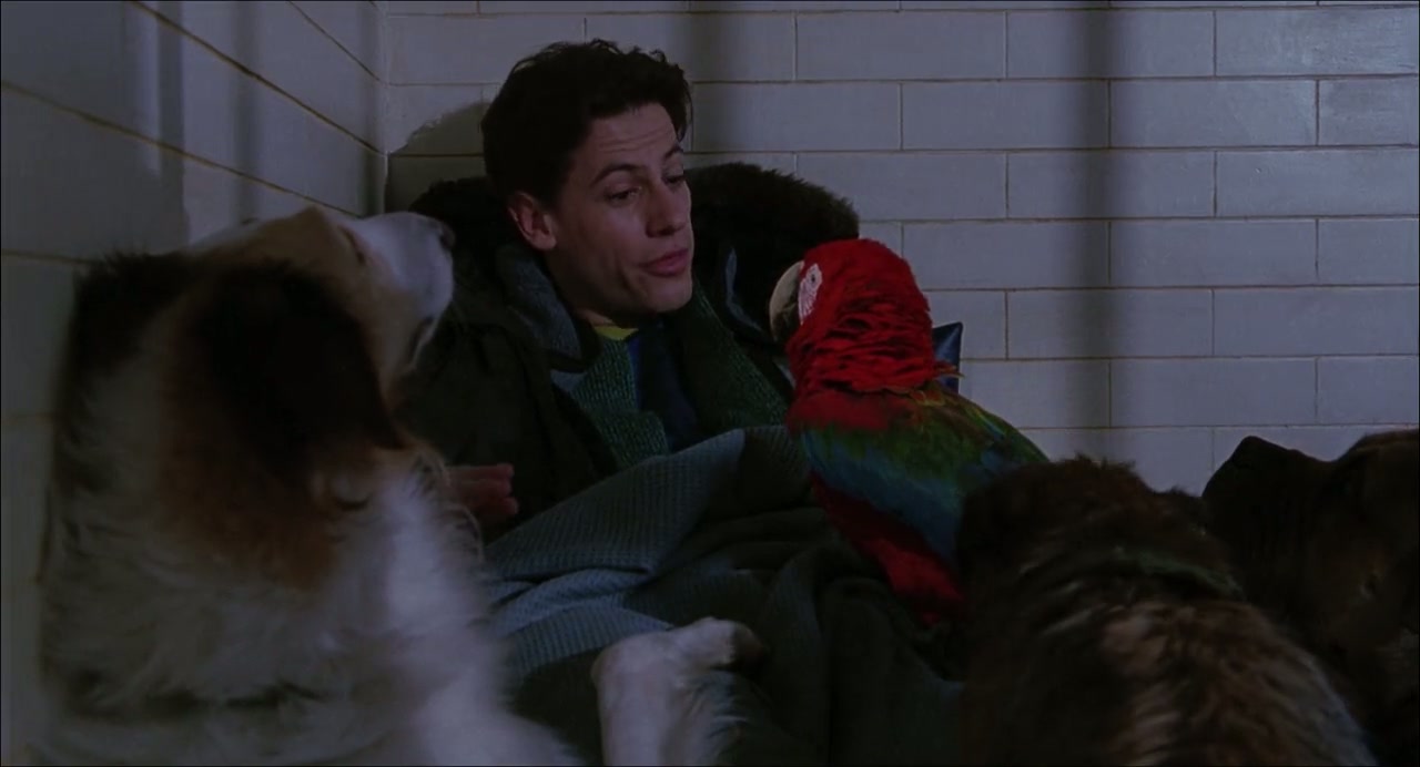 102 Dalmatians Screenshot