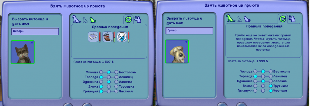 13.png