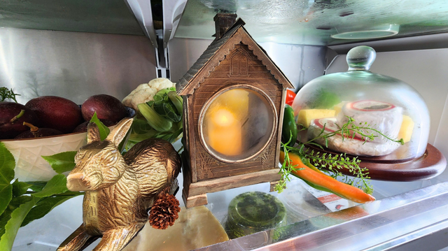 Fridgescaping-3