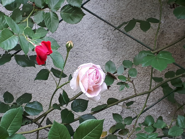 20180507 165416