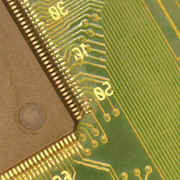 P00005
