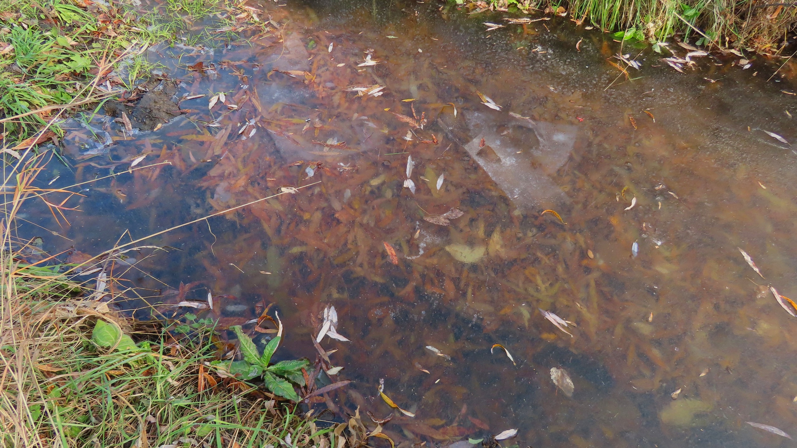 dr0v-8-L8i-Ay-Al-Jchbj-VX32z-JEDFRNa5xy-UYAq-F2-J-B0u-YBNq-WBt-FKOwnxo-A5mlx8ko-QIj-GAk-G7qz-CIKn-H-