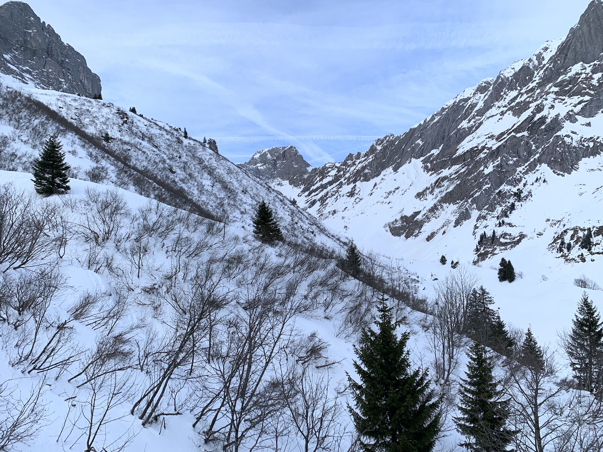 IMG-3841.jpg